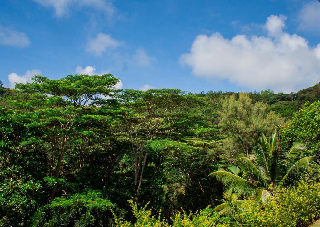 Anse Royale Panorama View Apartment Exterior photo